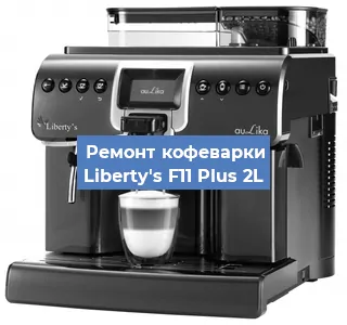 Чистка кофемашины Liberty's F11 Plus 2L от накипи в Ижевске